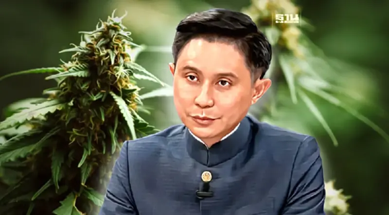 เปิดผลกระทบ "นำช่อดอก"กัญชา-กัญชง" เป็นยาเสพติด เปิดผลกระทบ "นำช่อดอก"กัญชา-กัญชง" เป็นยาเสพติด