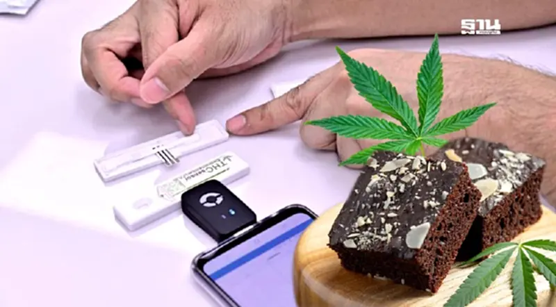 ตรวจสาร THC ในอาหารผสมกัญชา ทำได้ง่ายแค่ 6 นาที ลดความเสี่ยงผู้บริโภค ตรวจสาร THC ในอาหารผสมกัญชา ทำได้ง่ายแค่ 6 นาที ลดความเสี่ยงผู้บริโภค