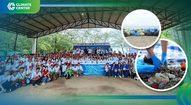 ปูนซีเมนต์นครหลวงนำทัพรักษ์โลก ลุยฟื้นฟูทะเลไทย จากชายหาดสู่ป่าชายเลน