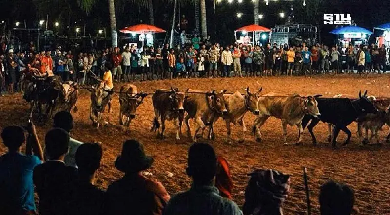 ครม.ปลดแอก "วัวลาน" แข่งขัน 6 โมงเย็น ถึง 6 โมงเช้า วันรุ่งขึ้น ครม.ปลดแอก "วัวลาน" แข่งขัน 6 โมงเย็น ถึง 6 โมงเช้า วันรุ่งขึ้น