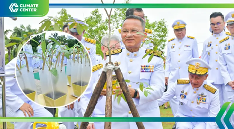 สาธารณสุข ชวนคนไทยร่วมใจ ปลูกป่า 72 ล้านต้น ถวายเป็นพระราชกุศล สาธารณสุข ชวนคนไทยร่วมใจ ปลูกป่า 72 ล้านต้น ถวายเป็นพระราชกุศล