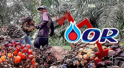 "OR" เร่งประสานผู้ผลิตไบโอดีเซลช่วยเกษตรกรแก้ปัญหาราคาน้ำมันปาล์มตกต่ำ