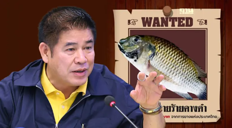 ด่วน "ธรรมนัส" ลงพื้นที่สมุทรสาคร 22 ก.ค. ล่าปลาหมอคางดำ ด่วน "ธรรมนัส" ลงพื้นที่สมุทรสาคร 22 ก.ค. ล่าปลาหมอคางดำ