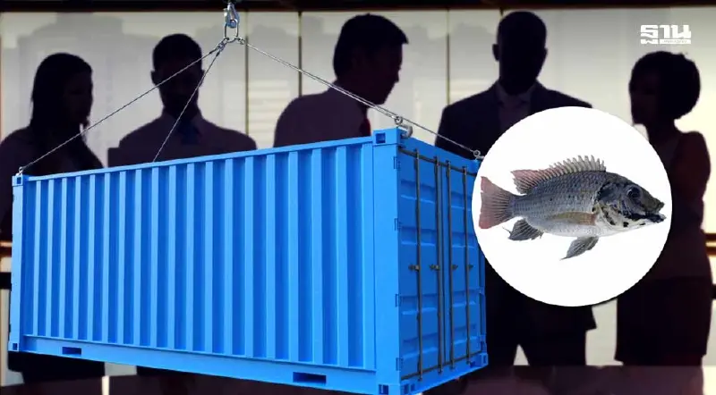 เปิดชื่อเจ้าของ-ผู้ถือหุ้น 11 บริษัท ส่งออก “ปลาหมอคางดำ” ไปต่างประเทศ