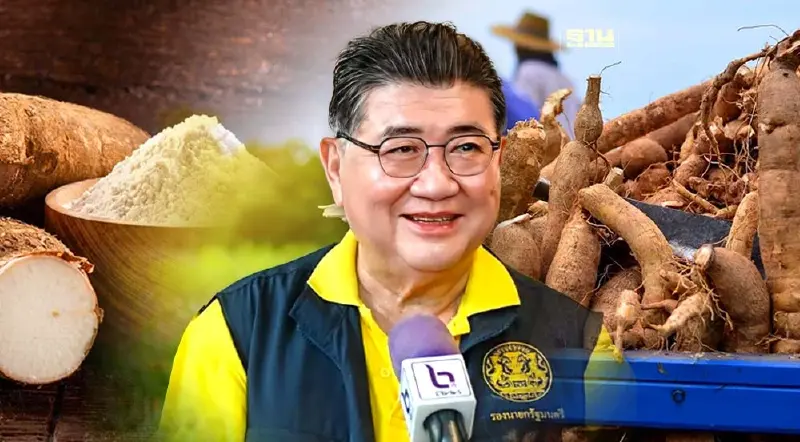 "ภูมิธรรม" สั่งพาณิชย์-เกษตรฯ วางแผนแก้ปัญหามันสำปะหลังต้นน้ำยันปลายน้ำ