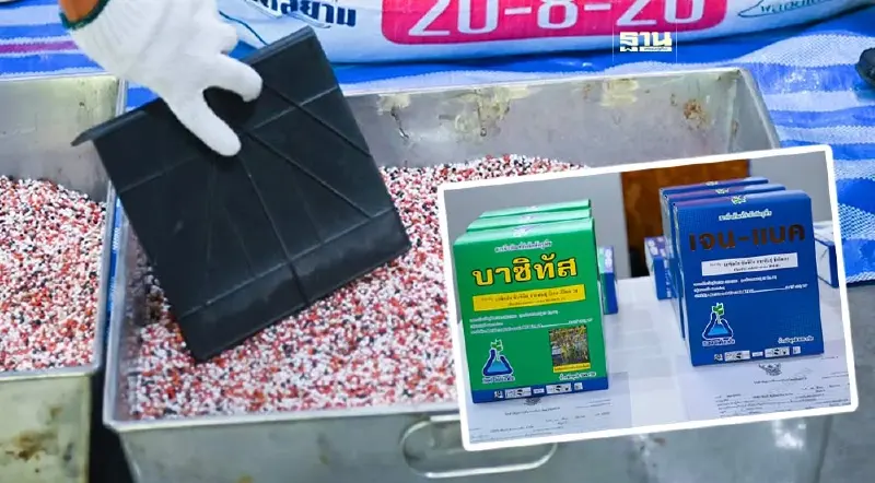ผู้ค้าปุ๋ยลุ้นระทึก กรมการข้าว ประกาศราคากลาง “ปุ๋ยคนละครึ่ง”