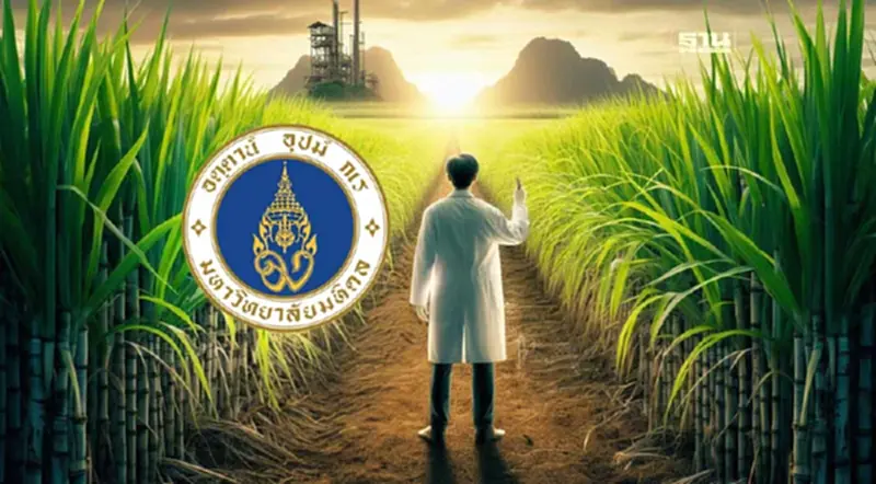 ม.มหิดล ชูนวัตกรรมพัฒนา "อ้อย" พืชเศรษฐกิจกาญจนบุรี สู่โปรตีนแพลนต์เบส ม.มหิดล ชูนวัตกรรมพัฒนา "อ้อย" พืชเศรษฐกิจกาญจนบุรี สู่โปรตีนแพลนต์เบส