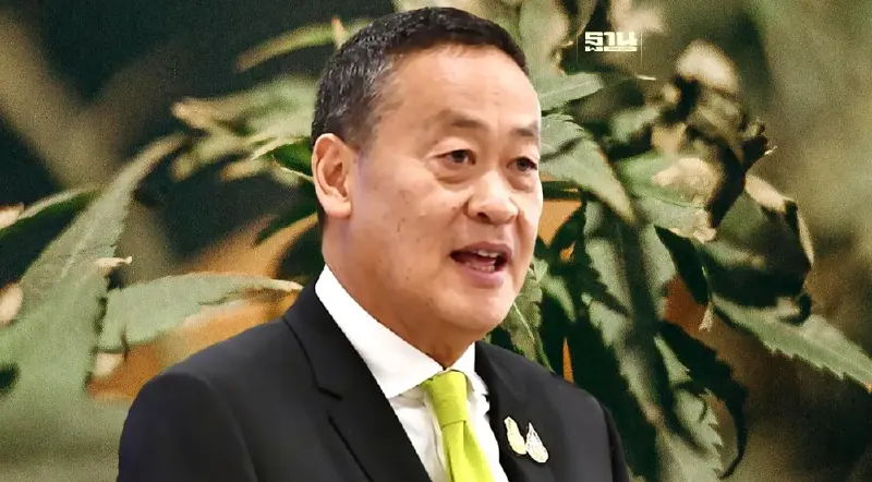 จี้นายกฯ ทบทวนนำ "กัญชา" กลับสู่ “ยาเสพติด” อย่าเห็นแต่ประโยชน์ทางการเมือง