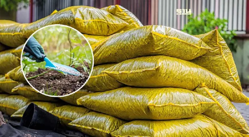 คึกคัก ! 186 บริษัท แห่ชิงเค้ก “ปุ๋ยและชีวภัณฑ์คนละครึ่ง” คึกคัก ! 186 บริษัท แห่ชิงเค้ก “ปุ๋ยและชีวภัณฑ์คนละครึ่ง”