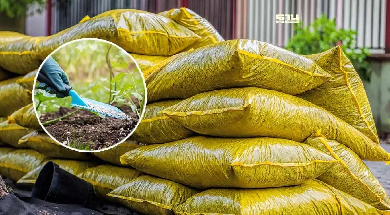 คึกคัก ! 186 บริษัท แห่ชิงเค้ก “ปุ๋ยและชีวภัณฑ์คนละครึ่ง”