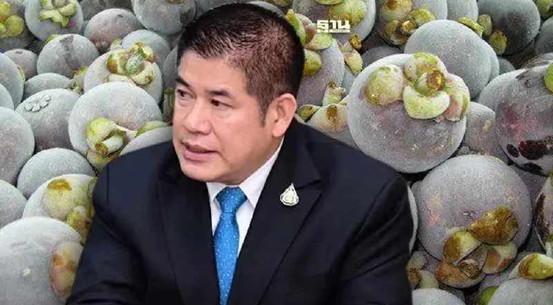 "ธรรมนัส" แจ้งข่าวดี จีนไฟเขียวเปิดตลาดมังคุดแช่เยือกแข็งไทยครั้งแรก