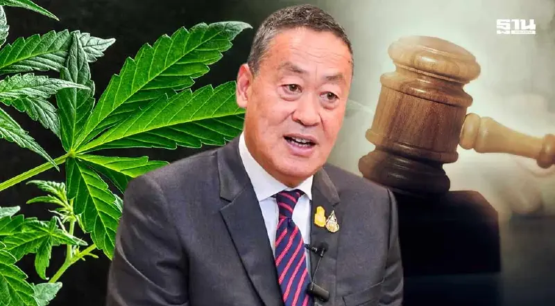 59 เครือข่ายแพทย์ นักวิชาการและภาคประชาชน ลงชื่อจี้นายกฯเร่งออก กม.กัญชา