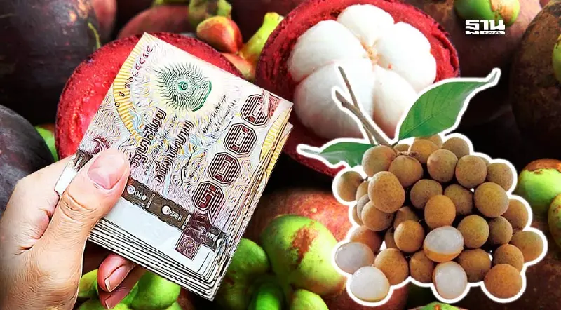 คลัง ผนึกพาณิชย์ รับซื้อ “มังคุด-ลำไย” ช่วยชาวสวน 55 ตัน