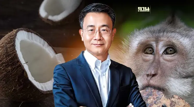 สินค้ามะพร้าวรุ่ง 5 เดือนส่งออก 1.4 หมื่นล. กังวลต่างชาติยังโจมตีใช้ลิงเก็บ