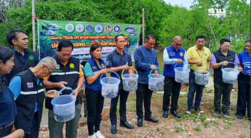 จับ“ปลาหมอคางดำ”ออกจากแหล่งน้ำสมุทรสาคร เริ่มเห็นผลเป็นรูปธรรม จับ“ปลาหมอคางดำ”ออกจากแหล่งน้ำสมุทรสาคร เริ่มเห็นผลเป็นรูปธรรม