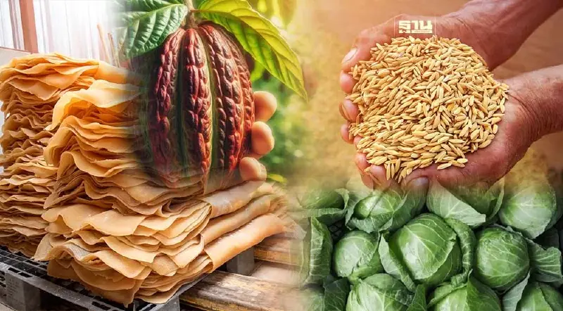 ธุรกิจกลุ่มไหนต้องปรับตัว หลังประเทศคู่ค้าให้ความสำคัญกับสิ่งแวดล้อม