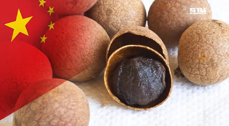 ผู้ผลิตลำไยอบแห้ง เผยผู้ประกอบการแห่ซื้อ ตลาดจีนต้องการดันราคาพุ่ง