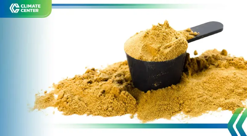 "โปรตีนจากคาร์บอนไดออกไซด์" ทางเลือกใหม่ ผลิตมลพิษน้อยกว่าเนื้อ 100 เท่า