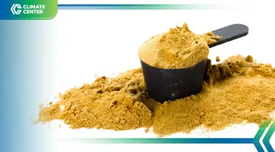 "โปรตีนจากคาร์บอนไดออกไซด์" ทางเลือกใหม่ ผลิตมลพิษน้อยกว่าเนื้อ 100 เท่า