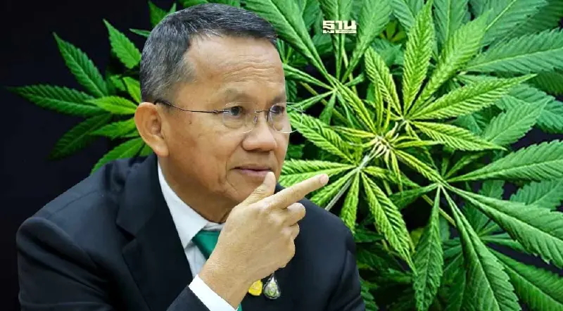 จับตา "สมศักดิ์" เคลียร์ปมดึง"กัญชา"กลับเป็นยาเสพติด 9 ก.ค.นี้