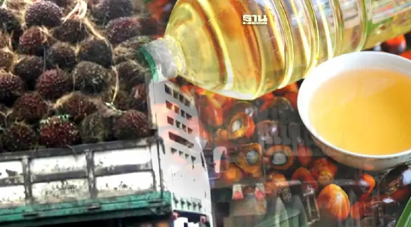 ผู้ผลิตไบโอดีเซลร้องรัฐบาลเอาผิดผู้ค้ามาตรา 7 ไม่รับซื้อปาล์มตามมติ ครม.