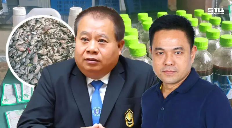 สกัดปลาเหยื่อ แปลงร่าง สวมสิทธิ์"ปลาหมอคางดำ" ผลิตน้ำหมักชีวภาพ ป้อน กยท.