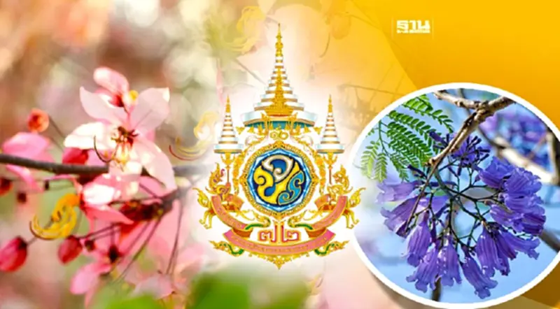 แจกฟรี กล้าไม้มงคล 72 ล้านต้น เฉลิมพระชนมพรรษา 6 รอบ แจกฟรี กล้าไม้มงคล 72 ล้านต้น เฉลิมพระชนมพรรษา 6 รอบ