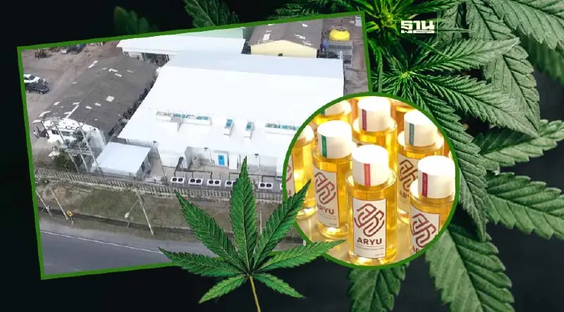 สยายปีกกัญชาเพื่อการแพทย์ อิริเดซเซ็นท์ เมด ทุ่ม 500 ล้านบาท ตั้งโรงงานใหม่