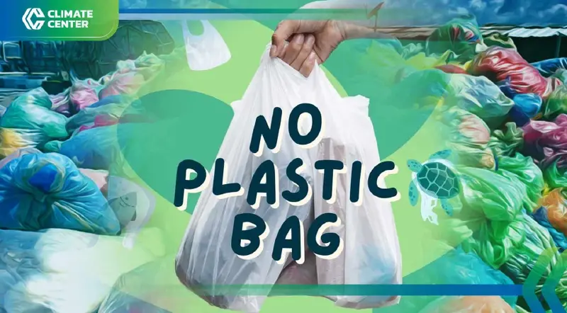 3 กรกฎาคม วันปลอดถุงพลาสติกสากล International Plastic Bag Free Day 3 กรกฎาคม วันปลอดถุงพลาสติกสากล International Plastic Bag Free Day