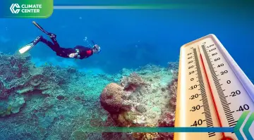 แนวปะการัง "เกรตแบร์ริเออร์รีฟ" เผชิญวิกฤตรุนแรงที่สุดในรอบ 4 ศตวรรษ