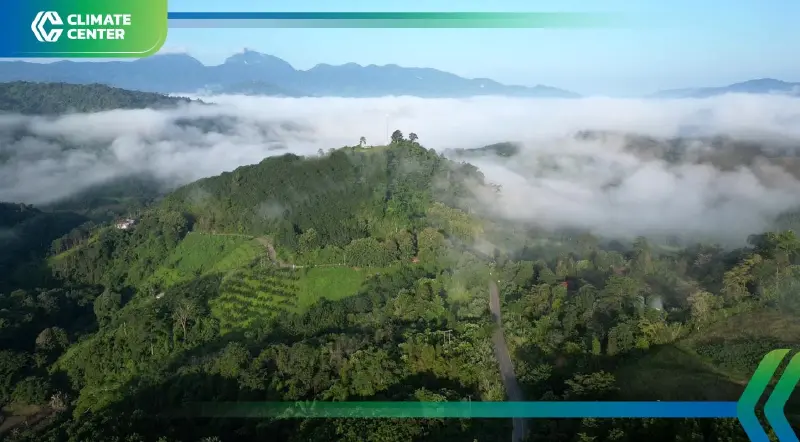 "เครือซีพี" จับมือหน่วยงานภาครัฐ เดินหน้าโมเดลคืนป่าต้นน้ำภาคเหนือ