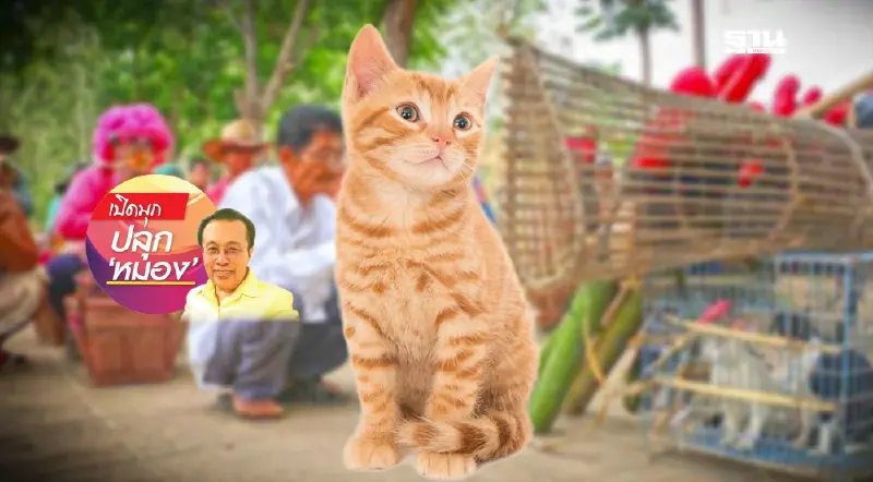 วัฒนธรรมอุแว้ แชร์ วัฒนธรรมหลอดแก้ว ฉากที่ 2