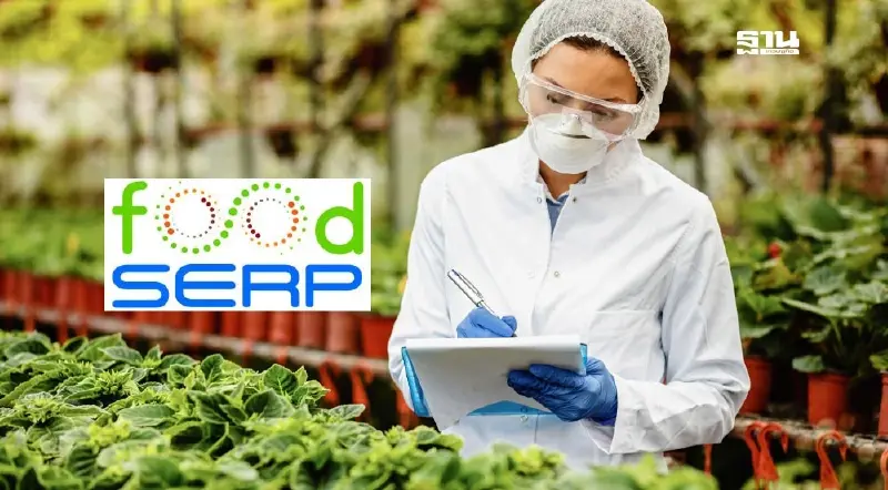 สวทช. ปลุกแพลตฟอร์ม FoodSERP รับอุตสาหกรรมอาหาร