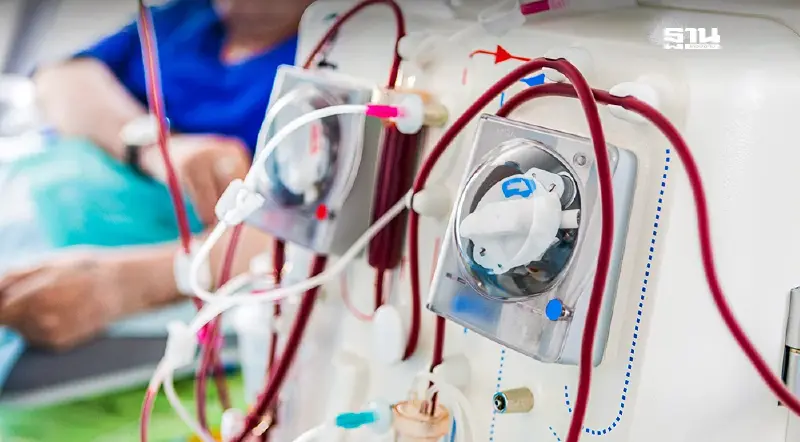 สภากาชาดไทย เปิดสถิติรับบริจาคอวัยวะยังขาดแคลน ผู้ป่วย “ไต” ต้องการสูงสุด