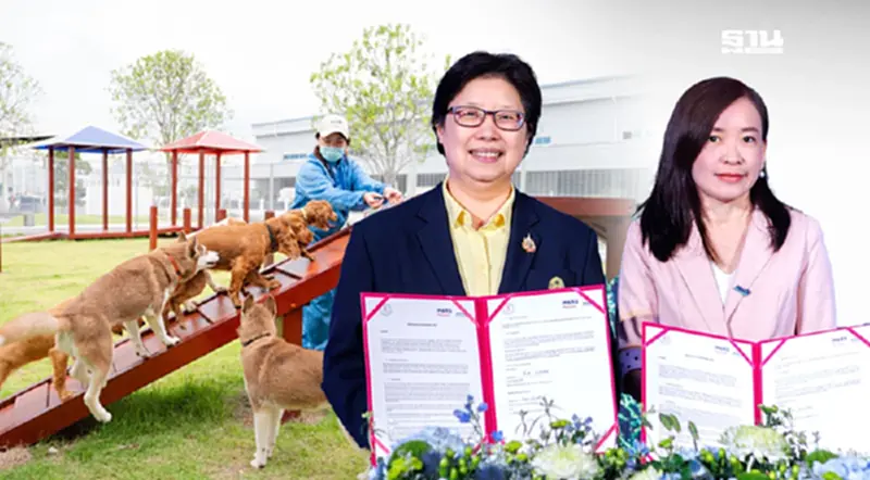 "Pet Humanization"โตแรง มาร์สจับมือจุฬา วิจัยอาหารสัตว์เลี้ยงในเอเชีย "Pet Humanization"โตแรง มาร์สจับมือจุฬา วิจัยอาหารสัตว์เลี้ยงในเอเชีย