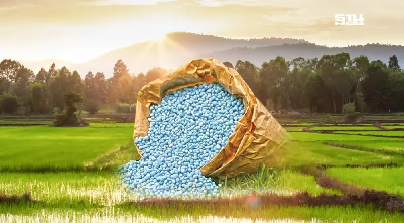 “ปุ๋ยคนละครึ่ง” ส่อเลื่อน “ธรรมนัส” ยันไม่ล้ม ปรับใหม่เป็นรอบนาปรังปี 68