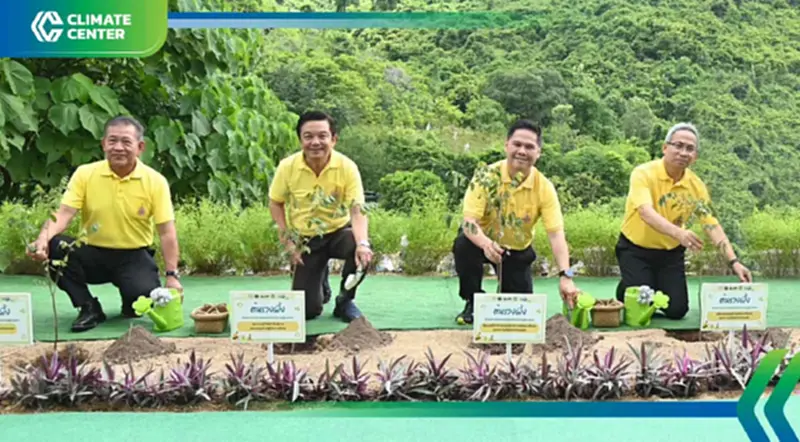 "ปตท." ผนึกพันธมิตรปลูกป่าเพิ่มพื้นที่สีเขียวจ.ระยอง มุ่งเป้า "Net Zero" "ปตท." ผนึกพันธมิตรปลูกป่าเพิ่มพื้นที่สีเขียวจ.ระยอง มุ่งเป้า "Net Zero"