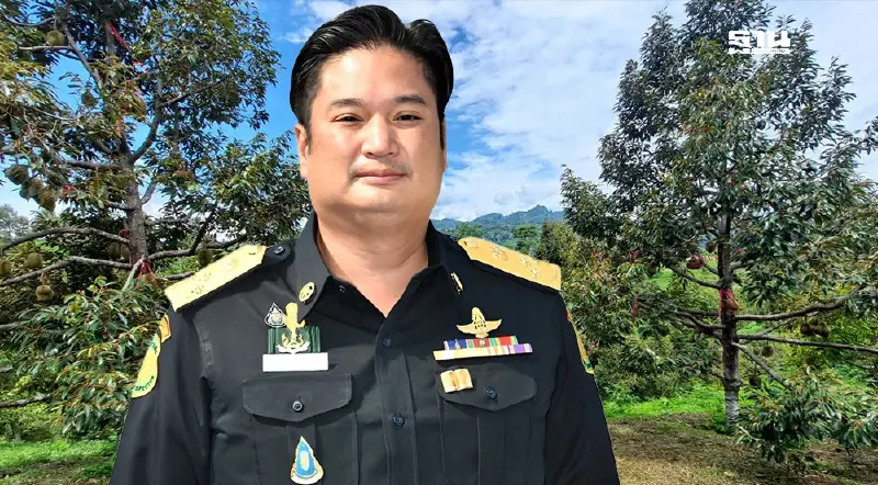 ผงะ! "อุตรดิตถ์" พบ "หนอนเจาะเมล็ดทุเรียนระบาด" เร่งกำจัดด่วน