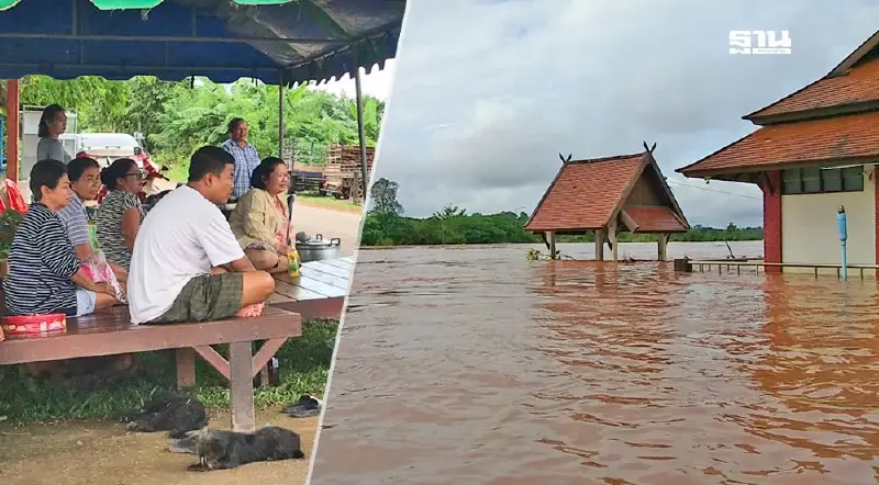 เช็คเงินเยียวยาเกษตรกร 2567 ประสบน้ำท่วม-ภัยพิบัติ ได้เงินกี่บาท