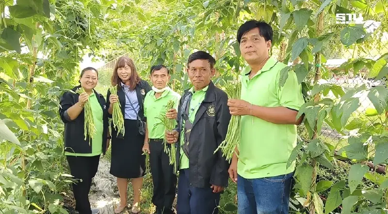 "สหกรณ์เมืองเก่า” ลุยแก้หนี้-สร้างอาชีพใหม่สมาชิก สู่ความมั่นคง "สหกรณ์เมืองเก่า” ลุยแก้หนี้-สร้างอาชีพใหม่สมาชิก สู่ความมั่นคง