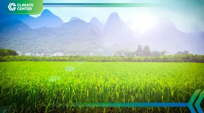 ดันปลูกข้าว ลดก๊าซเรือนกระจก รัฐระดม 118 ล้านยูโร หนุนชาวนา 2.5 แสนราย