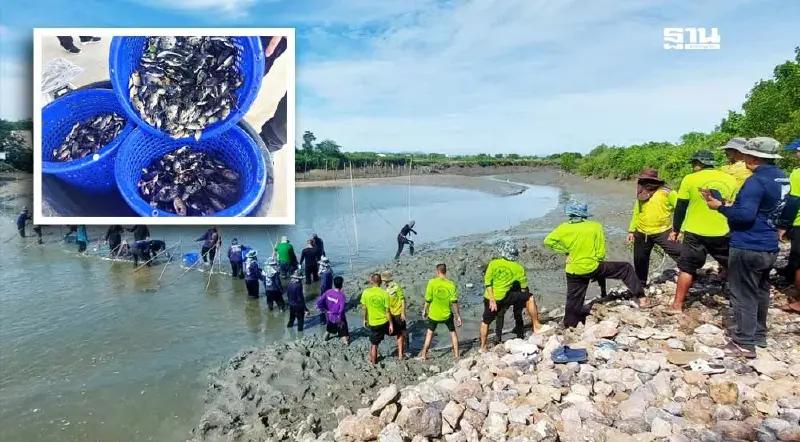 ซีพีเอฟ อัปเดต 5 โครงการ ร่วมแก้ “ปลาหมอคางดำ” รับซื้อแล้ว 6 แสน กก.