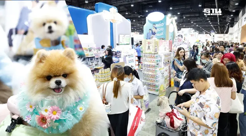 Pet Expo 2024 คึกคัก ทาสหมา-ทาสแมวทะลักศูนย์สิริกิติ์