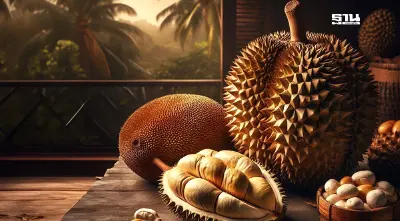 "ทุเรียน-ขนุน" แหล่งเก็บพลังงานสะอาดรูปแบบใหม่-ไม่กระทบสิ่งแวดล้อม