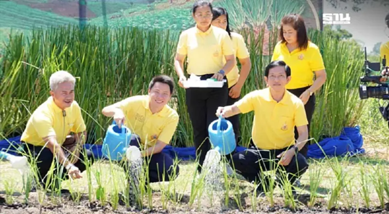 กระทรวงเกษตรฯ รวมพลังปลูกหญ้าแฝก 7.2 ล้านกล้า เฉลิมพระเกียรติในหลวง กระทรวงเกษตรฯ รวมพลังปลูกหญ้าแฝก 7.2 ล้านกล้า เฉลิมพระเกียรติในหลวง