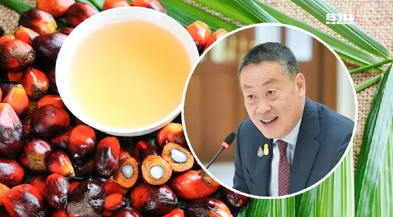 นายกฯ ปลื้ม “ราคาปาล์มวันนี้” แตะ 6.40 บาทต่อกิโลกรัม สูงสุดในรอบ 1 ปี