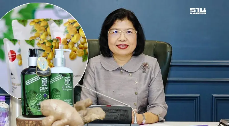 สมุนไพรไทยมาแรง! มูลค่าตลาดพุ่ง โอกาสทองผู้ประกอบการรายเล็ก