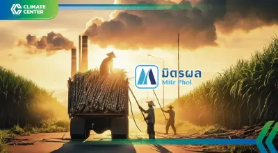 "มิตรผล" แจ้งขอขึ้น Premium T-VER ปรับเปลี่ยนปลูกอ้อย กักเก็บ-ลดคาร์บอน