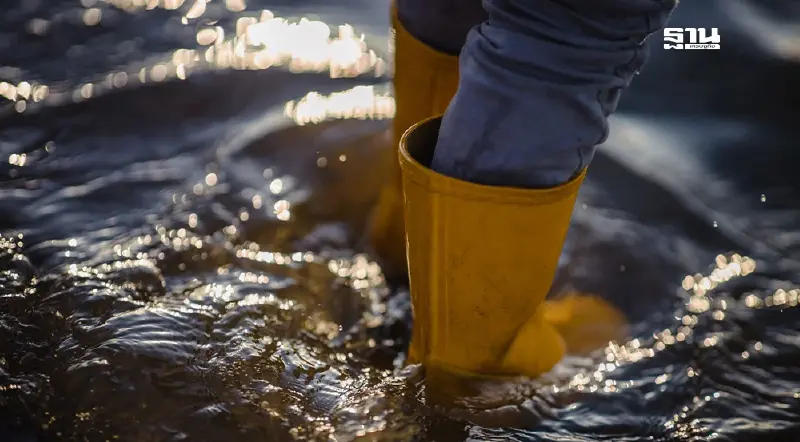 เฝ้าระวังน้ำล้นตลิ่ง-น้ำท่วมขังแม่น้ำยม -แม่น้ำน่าน วันที่ 22-27 ส.ค.67