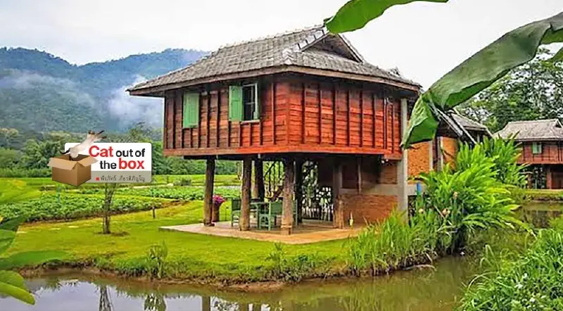 เรือนหลองข้าว เรือนหลองข้าว